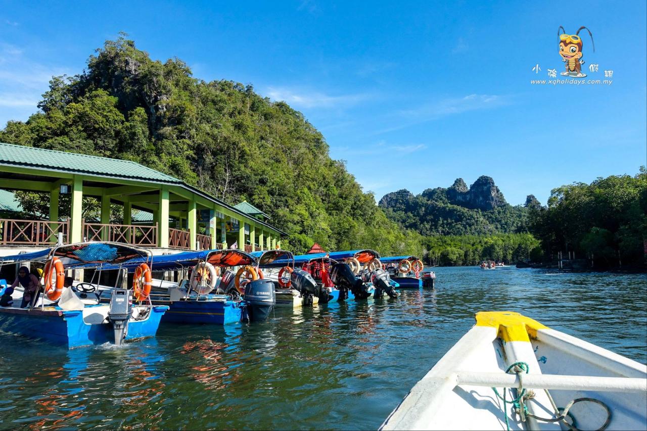 Jelajahi Keindahan Hutan Mangrove Langkawi dengan Mangrove Tour yang Menakjubkan